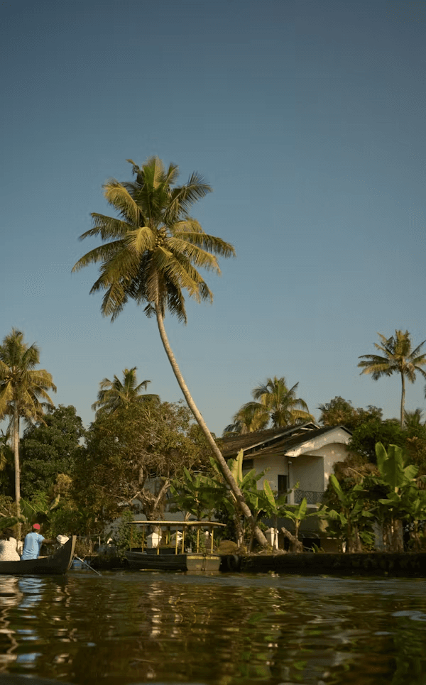 God's Own Country