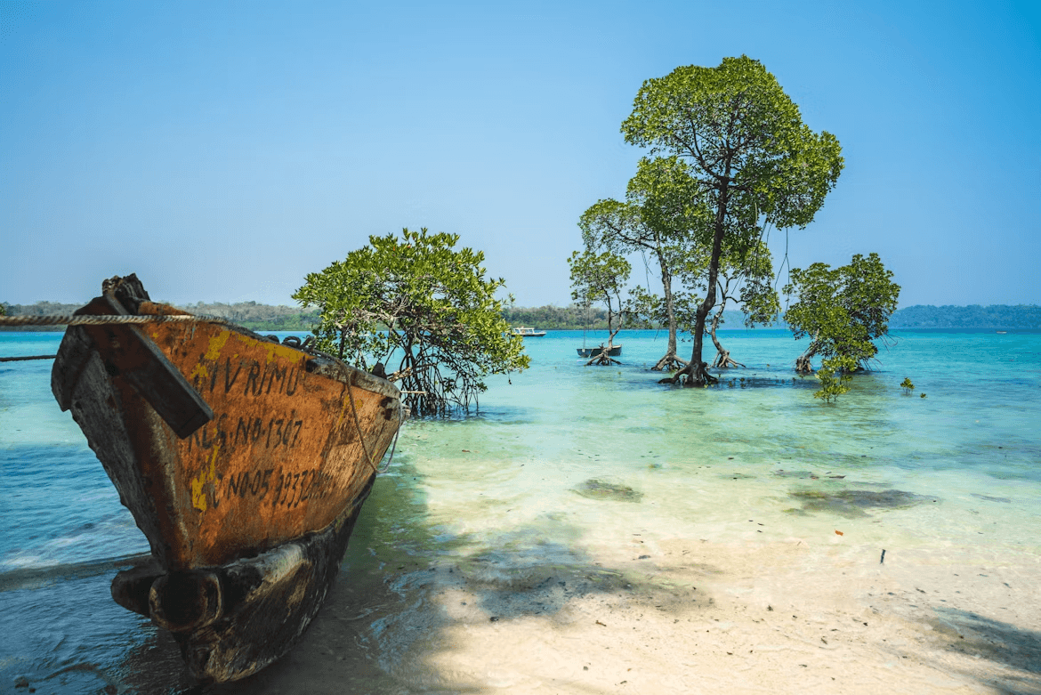 Island Escape